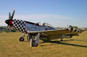 P51 Paccwing