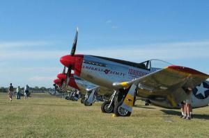paccwing p-51